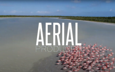 Aerial Produced | Who We Are & What We Do